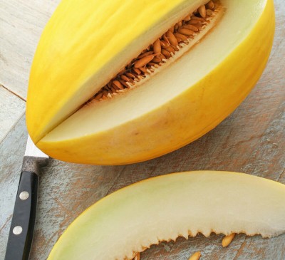 Melon Golden
